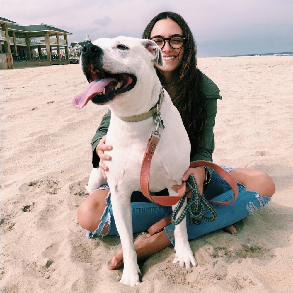 Meet your Posher, Julie